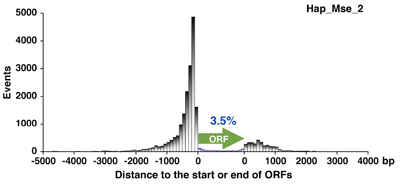 Figure 2. The distance from Tf1 integration sites to the nearest ORF.