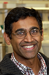 Ramanujan S. Hegde, MD, PhD