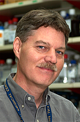 Paul Love, MD, PhD