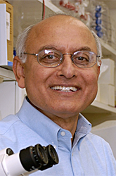 Anil Mukherjee, MD, PhD