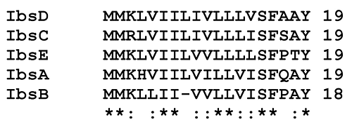 Figure 1. Alignment of the Ibs proteins from E. coli