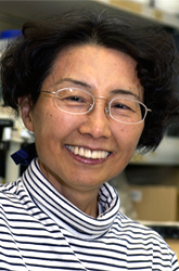 Keiko Ozato, PhD