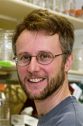 David J. Clark, PhD