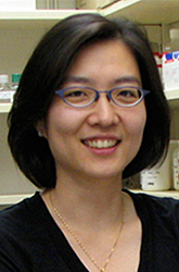 Sohyun Ahn, PhD, Head