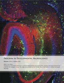 PDN Program Image