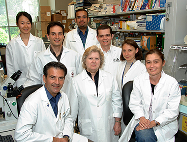 Stratakis lab photo