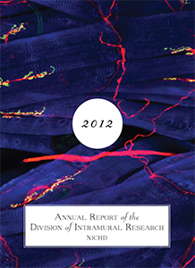 2012 Annual Report cover