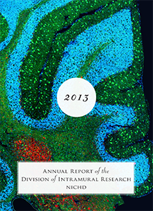 2013 Annual Report cover