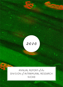 2010 Annual Report cover