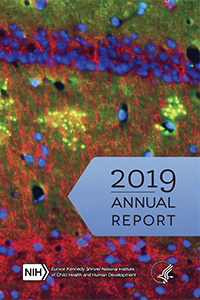 2019 Annual Report cover