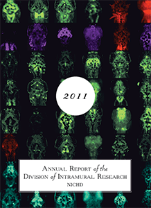 2011 Annual Report cover