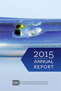 2015 Annual Report cover