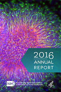 2016 Annual Report cover