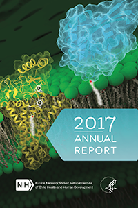 2017 Annual Report cover