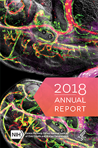 2018 Annual Report cover