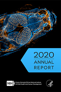 2020 Annual Report cover