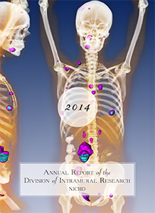 2014 Annual Report cover