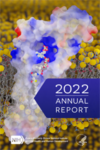2022 Annual Report cover