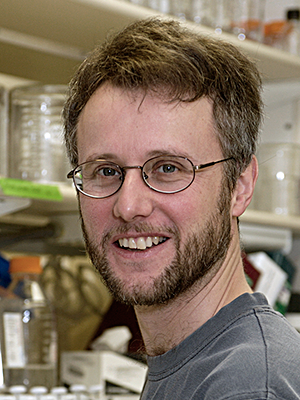 David J. Clark
