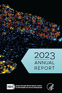 Cover of 2023 newsletter