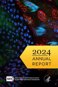 Cover of 2024 newsletter